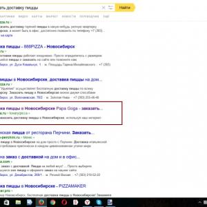 Создание и продвижение сайта интернет-магазина по доставке еды на дом Papa Goga в Новосибирске